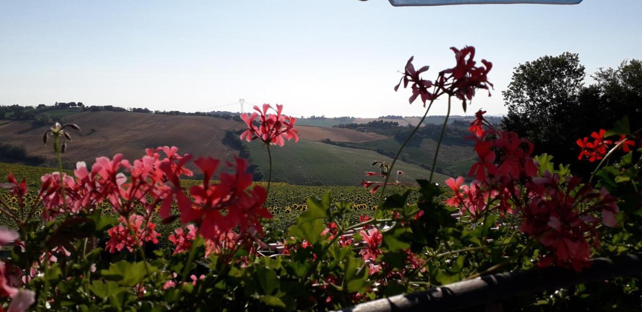 Bed and Breakfast Lo scrigno di Simon Senigallia Esterno foto